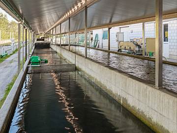 Gedeckte Becken unserer Fischzucht